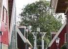 2012-09-06-1447-37  De Rijp